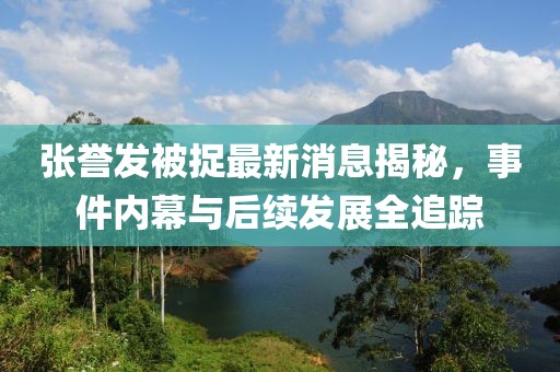 张誉发被捉最新消息揭秘，事件内幕与后续发展全追踪