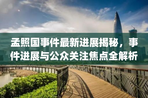 孟照国事件最新进展揭秘，事件进展与公众关注焦点全解析