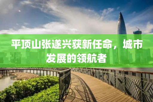 平顶山张遂兴获新任命，城市发展的领航者