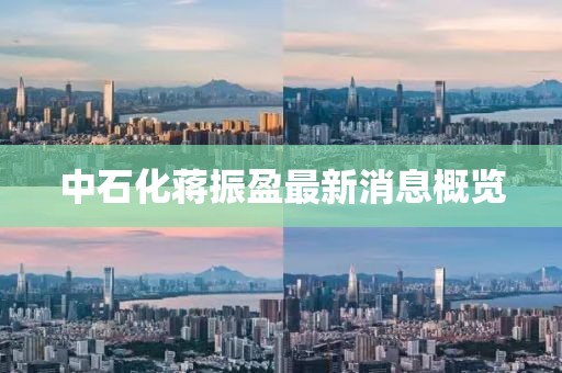 中石化蒋振盈最新消息概览