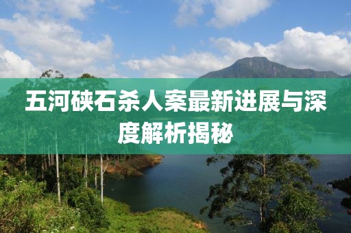 五河硖石杀人案最新进展与深度解析揭秘