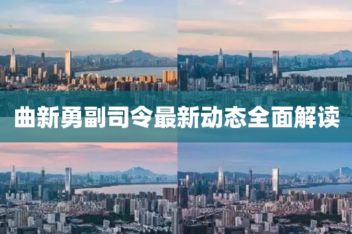 曲新勇副司令最新动态全面解读