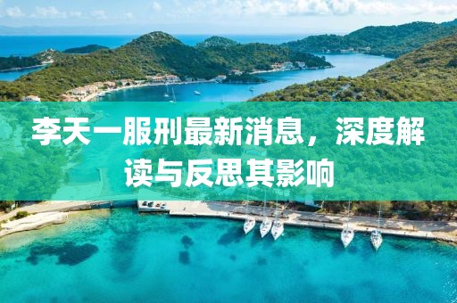 李天一服刑最新消息，深度解读与反思其影响