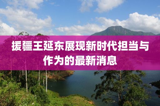 援疆王延东展现新时代担当与作为的最新消息