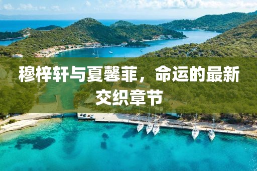 穆梓轩与夏馨菲，命运的最新交织章节