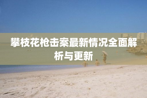 攀枝花枪击案最新情况全面解析与更新