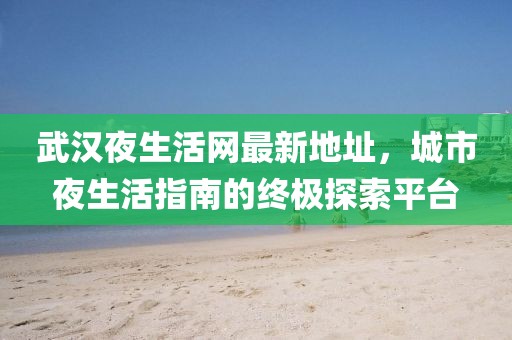 武汉夜生活网最新地址，城市夜生活指南的终极探索平台