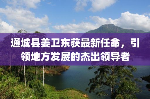 通城县姜卫东获最新任命，引领地方发展的杰出领导者