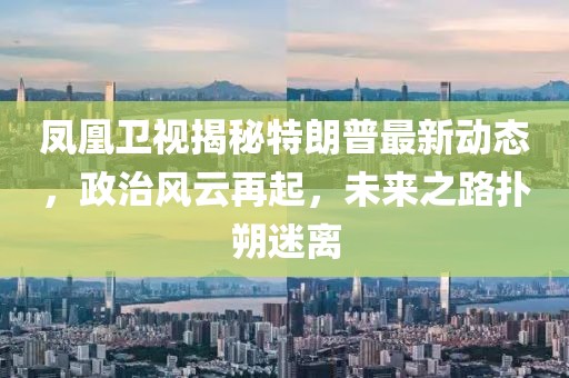 凤凰卫视揭秘特朗普最新动态，政治风云再起，未来之路扑朔迷离