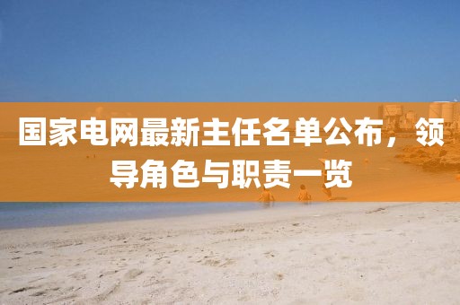 国家电网最新主任名单公布，领导角色与职责一览