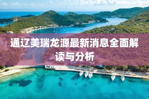 通辽美瑞龙源最新消息全面解读与分析