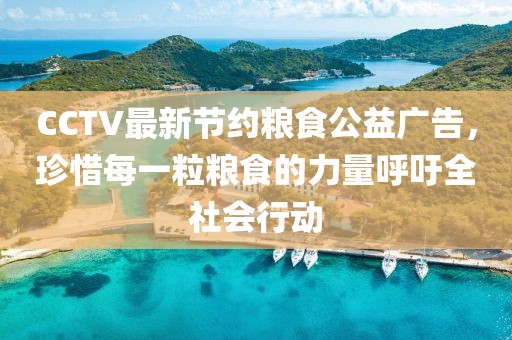 CCTV最新节约粮食公益广告，珍惜每一粒粮食的力量呼吁全社会行动