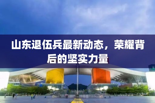 山东退伍兵最新动态，荣耀背后的坚实力量