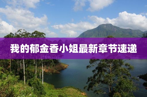 我的郁金香小姐最新章节速递