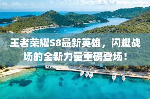 王者荣耀S8最新英雄，闪耀战场的全新力量重磅登场！