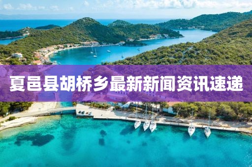 夏邑县胡桥乡最新新闻资讯速递