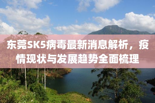 东莞SK5病毒最新消息解析，疫情现状与发展趋势全面梳理