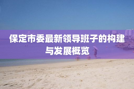 保定市委最新领导班子的构建与发展概览