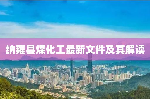 纳雍县煤化工最新文件及其解读