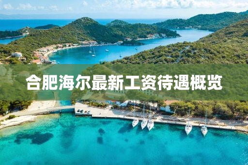 合肥海尔最新工资待遇概览