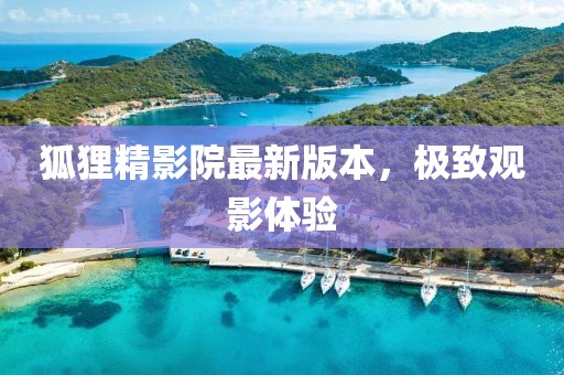 狐狸精影院最新版本，极致观影体验