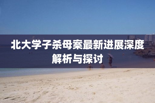 北大学子杀母案最新进展深度解析与探讨