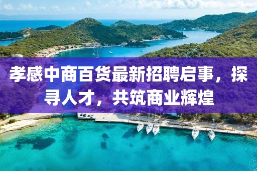 孝感中商百货最新招聘启事，探寻人才，共筑商业辉煌