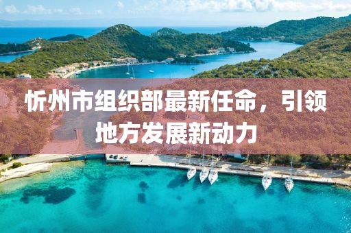 忻州市组织部最新任命，引领地方发展新动力
