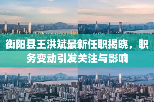 衡阳县王洪斌最新任职揭晓，职务变动引发关注与影响