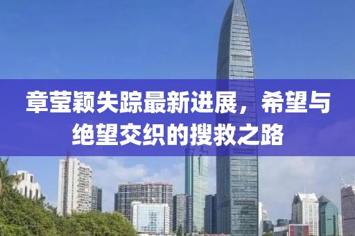 章莹颖失踪最新进展，希望与绝望交织的搜救之路