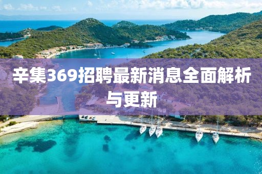辛集369招聘最新消息全面解析与更新
