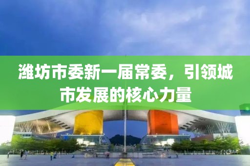 潍坊市委新一届常委，引领城市发展的核心力量