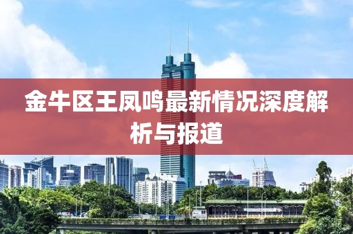 金牛区王凤鸣最新情况深度解析与报道