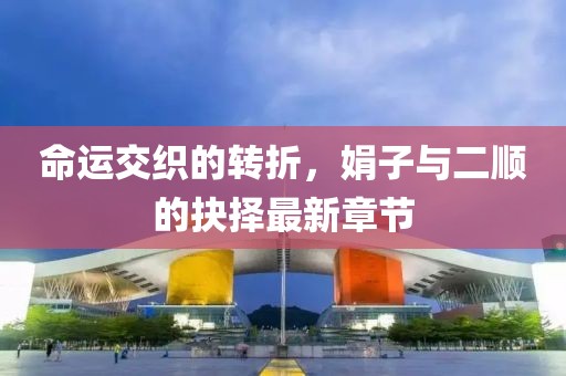 命运交织的转折，娟子与二顺的抉择最新章节