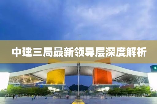 中建三局最新领导层深度解析