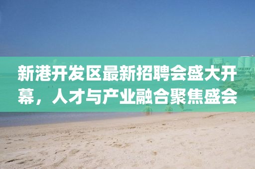 新港开发区最新招聘会盛大开幕，人才与产业融合聚焦盛会