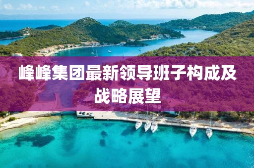 峰峰集团最新领导班子构成及战略展望