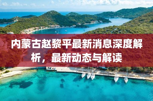 内蒙古赵黎平最新消息深度解析，最新动态与解读