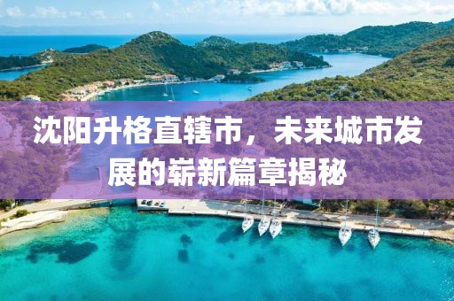沈阳升格直辖市，未来城市发展的崭新篇章揭秘