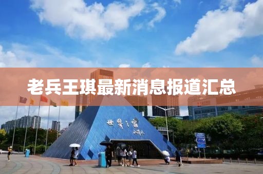 老兵王琪最新消息报道汇总