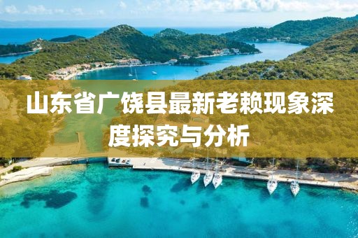 山东省广饶县最新老赖现象深度探究与分析