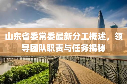 山东省委常委最新分工概述，领导团队职责与任务揭秘