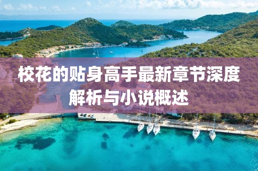 校花的贴身高手最新章节深度解析与小说概述