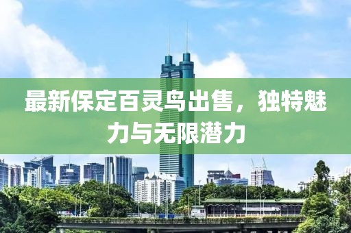 最新保定百灵鸟出售，独特魅力与无限潜力
