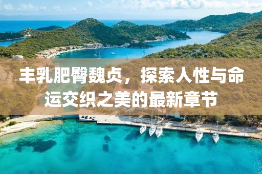 丰乳肥臀魏贞，探索人性与命运交织之美的最新章节