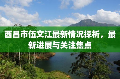 西昌市伍文江最新情况探析，最新进展与关注焦点