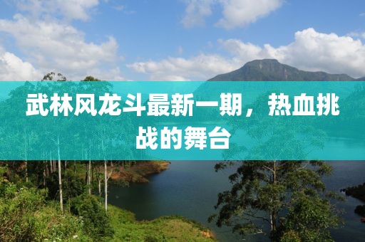 武林风龙斗最新一期，热血挑战的舞台