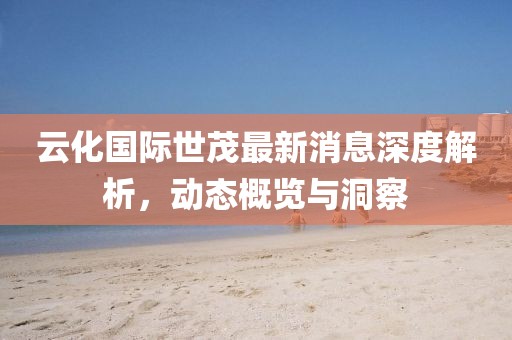 云化国际世茂最新消息深度解析，动态概览与洞察