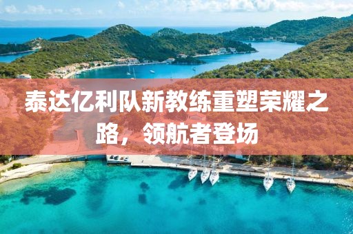 泰达亿利队新教练重塑荣耀之路，领航者登场