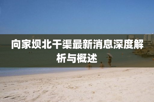 向家坝北干渠最新消息深度解析与概述